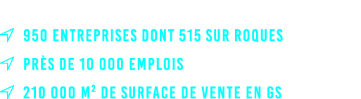   950 entreprises dont 515 sur Roques  Pr s de 10 000 emplois  210 000 m² de surface de vente en GS